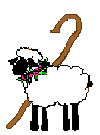 sheep and staff